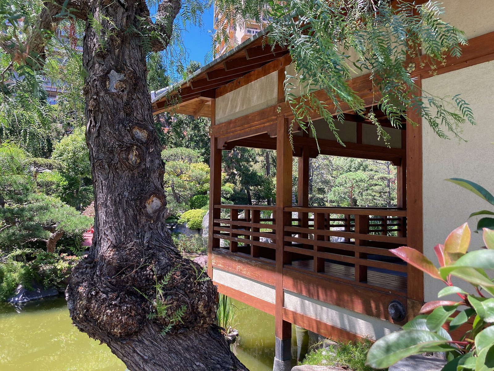 Vue du Jardin Japonais de Monaco